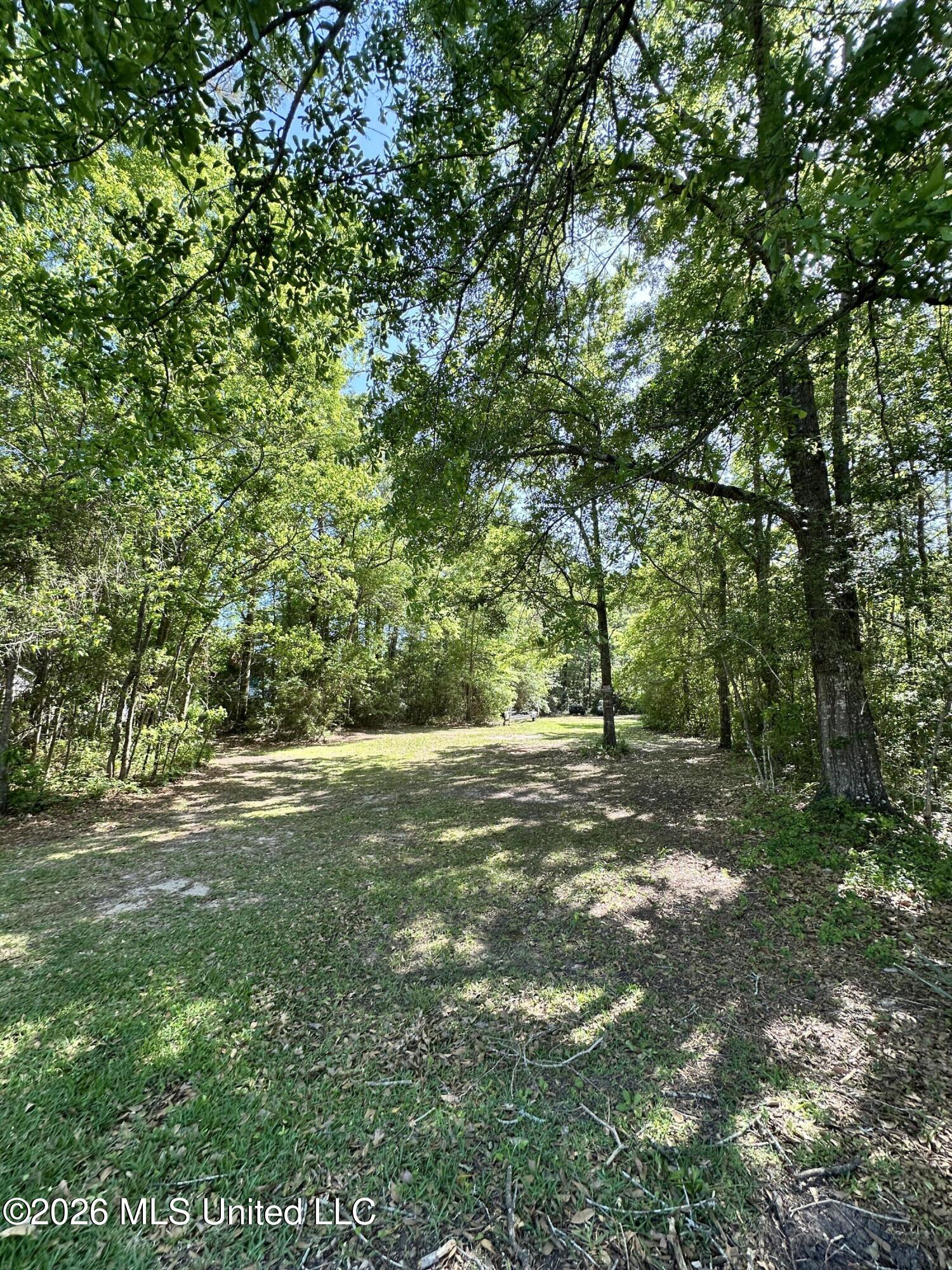 Dead River Road Gautier, MS 39553 - Photo 4 of 4 Subject Lot 2