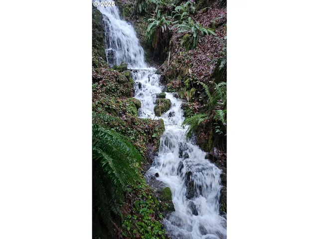 $1,945,000 | 156 Peppermill Road, Kelso, WA 98626