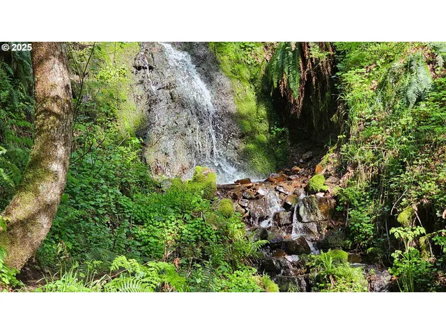 $1,945,000 | 156 Peppermill Road, Kelso, WA 98626