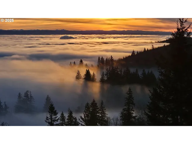 $1,945,000 | 156 Peppermill Road, Kelso, WA 98626