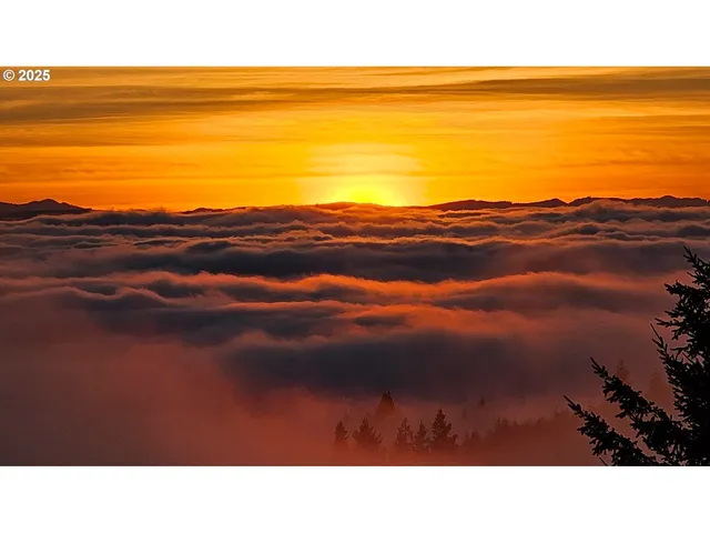 $1,945,000 | 156 Peppermill Road, Kelso, WA 98626