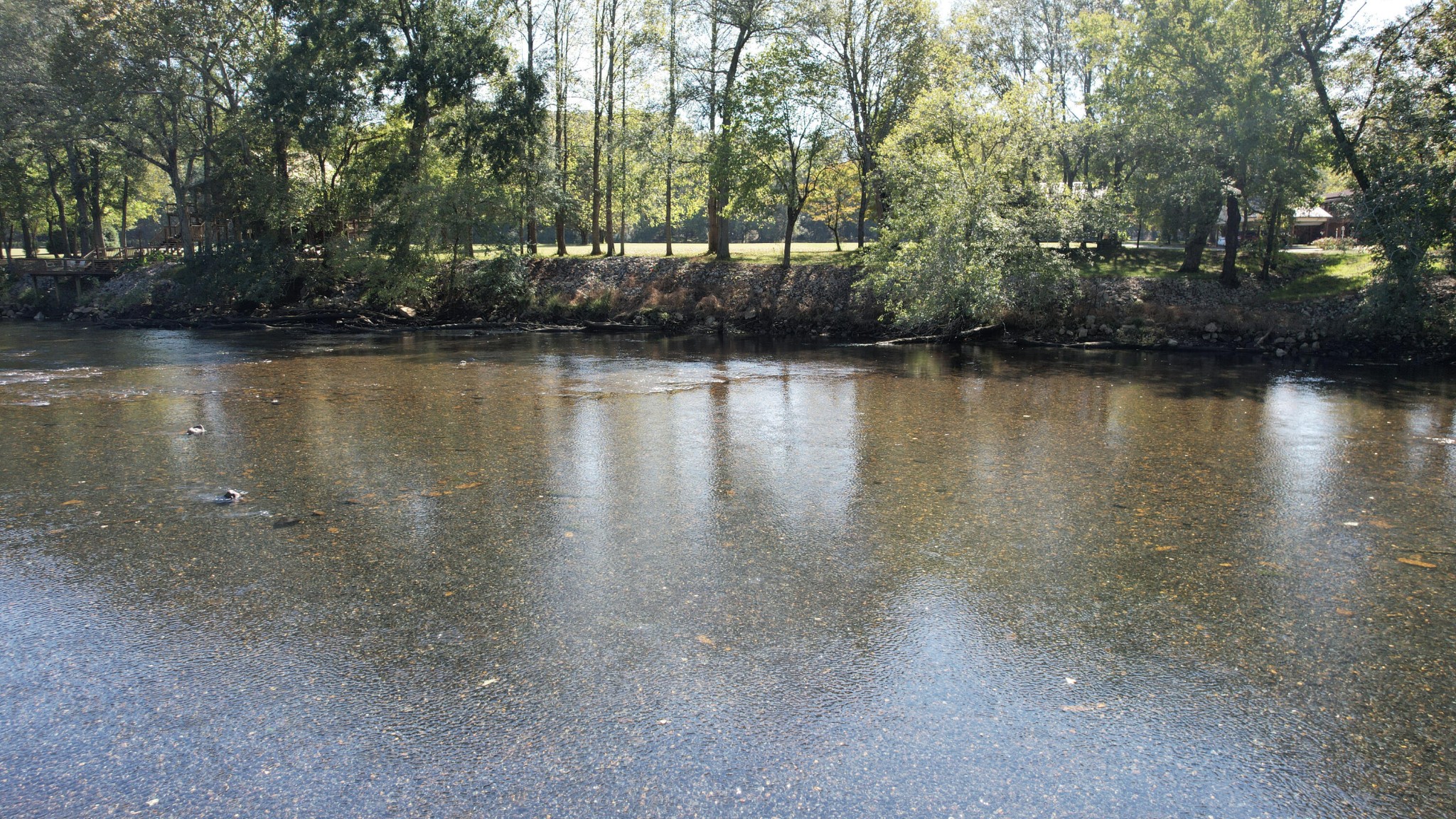 202 Rivers Edge Lane Benton, TN 37307 - Photo 33 of 36