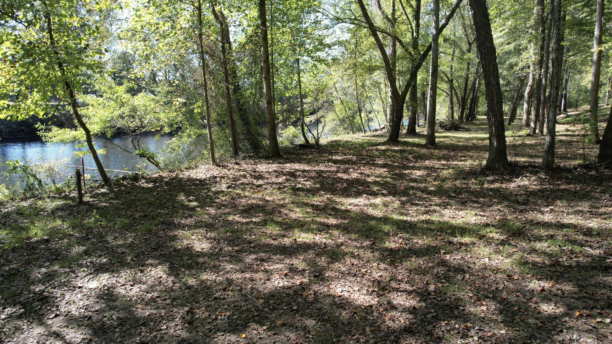 202 Rivers Edge Lane Benton, TN 37307 - Photo 35 of 36