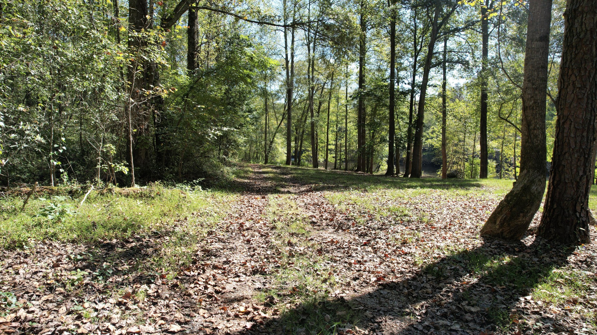 202 Rivers Edge Lane Benton, TN 37307 - Photo 36 of 36