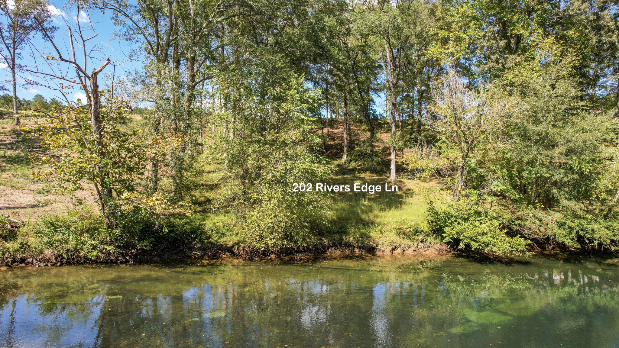 202 Rivers Edge Lane Benton, TN 37307 - Photo 5 of 36