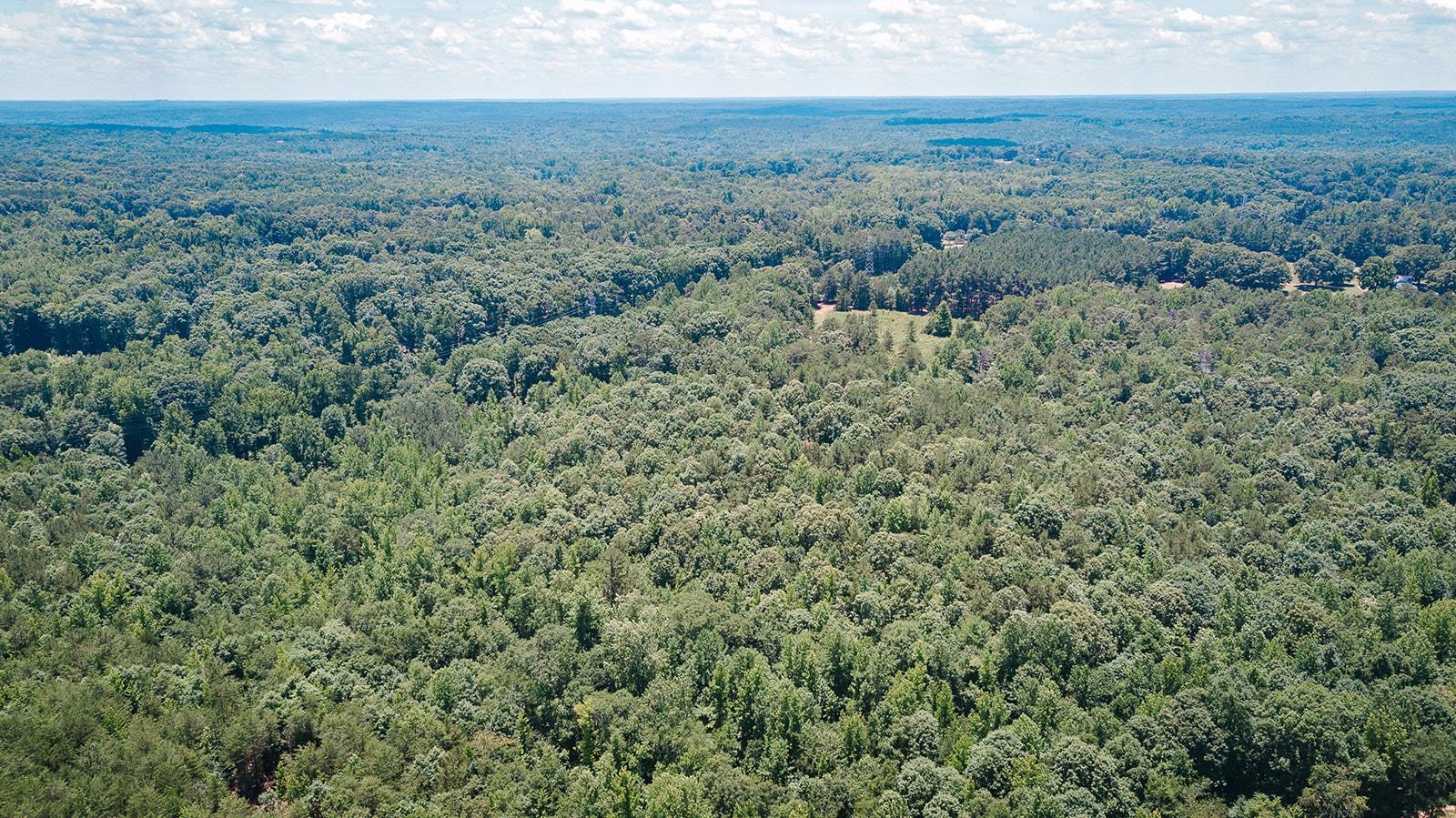 2109 Riddle Road Pauline, SC 29374 - Photo 12 of 14