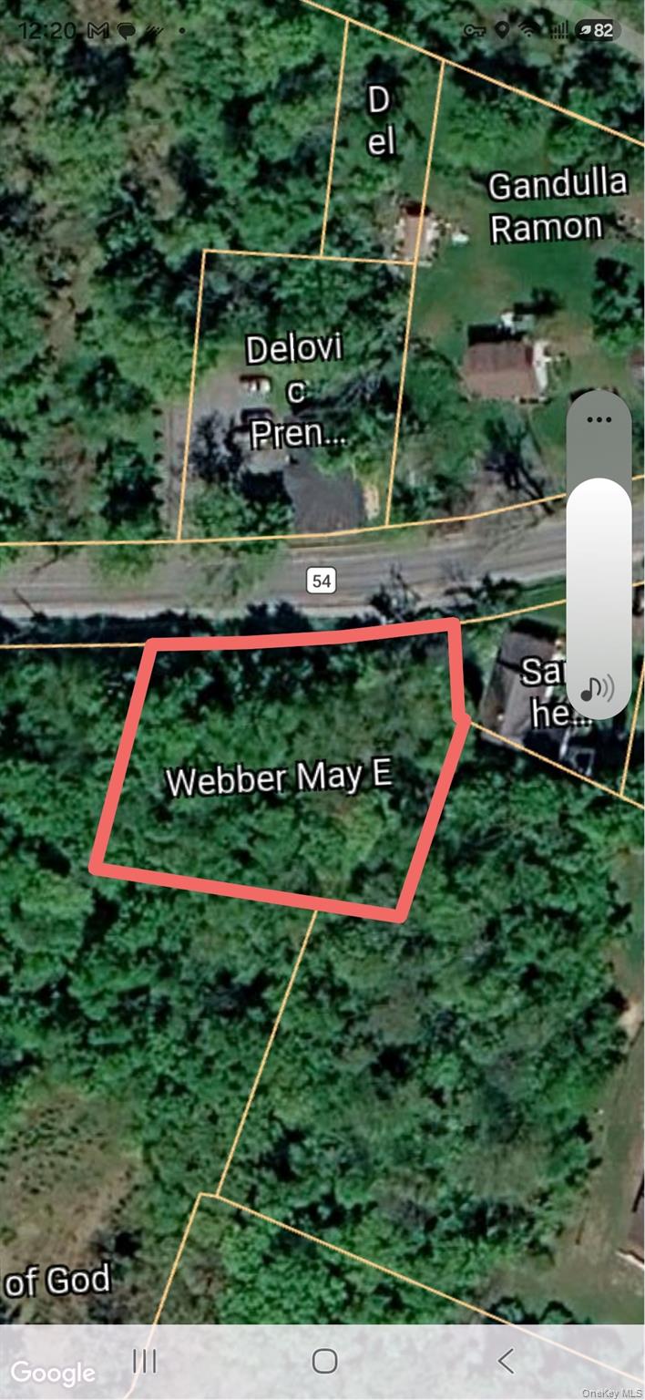 T/b/d Mountiandale Road Fallsburg, NY 12733 - Photo 3 of 4