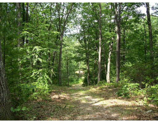 71 Ball Road Townsend, MA 01469 - Photo 7 of 7 a view of outdoor space and yard