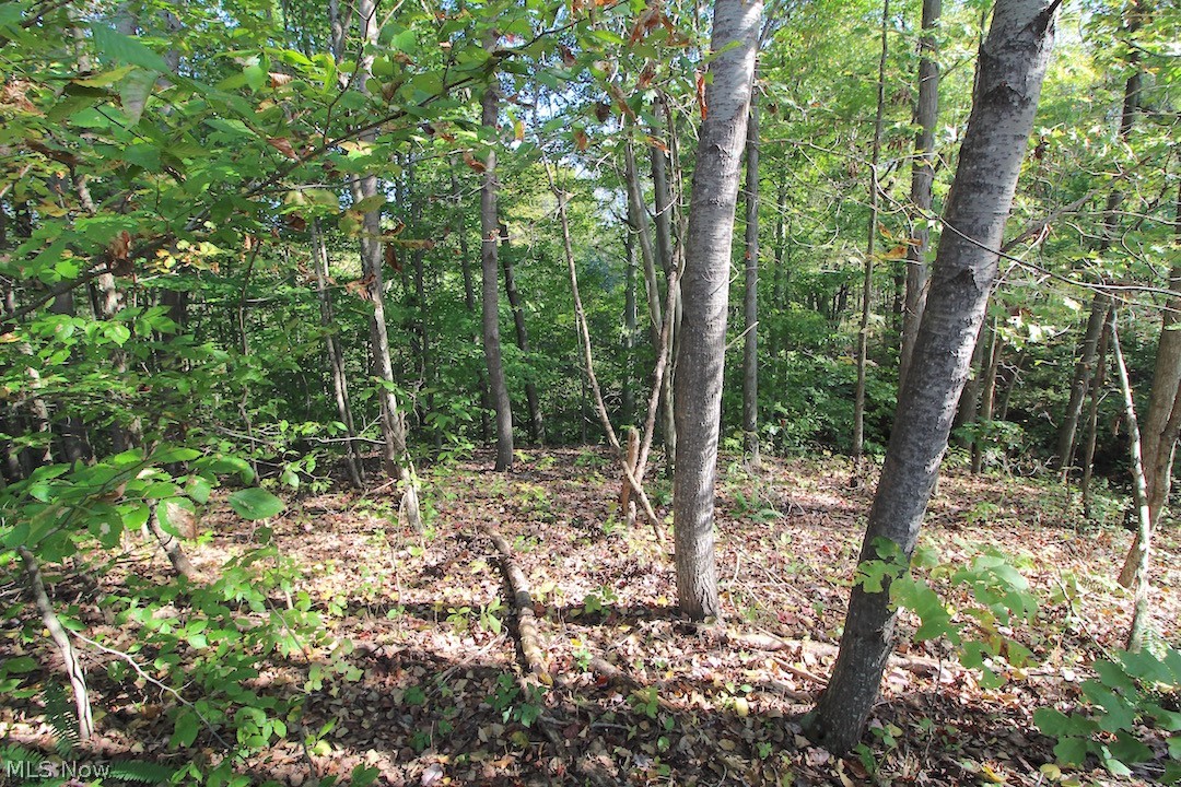 Horseshoe Bend Road Newcomerstown, OH 43832 - Photo 11 of 23 Gallery Image 11