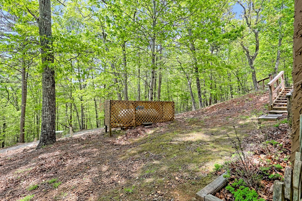 116 Wildwood Road Young Harris, GA 30582 - Photo 58 of 68
