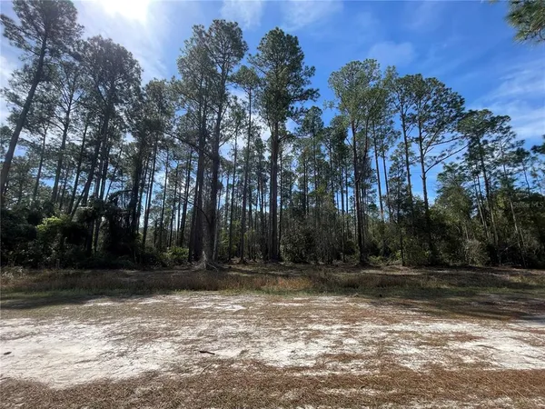 $20,000 | 105 Rosewood Street, Georgetown, FL 32139