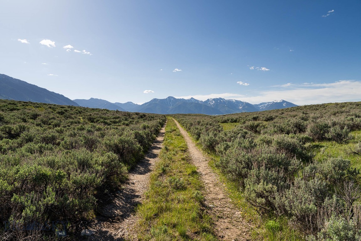 Tbd Tbd Madison River Ranch Cameron, MT 59720 - Photo 21 of 27 Gallery Image 21