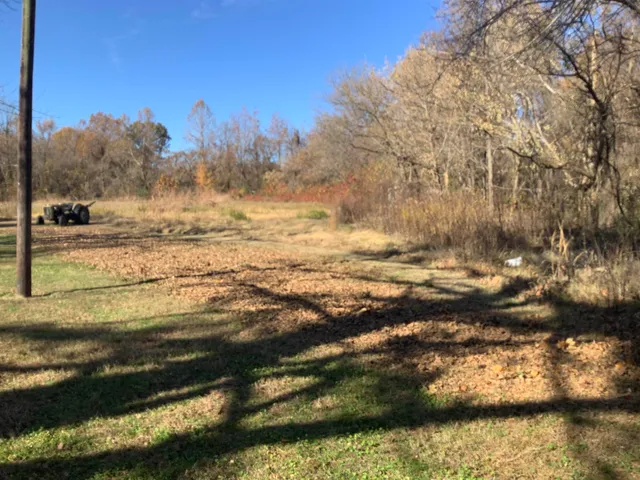 a view of a lake with houses in the back
