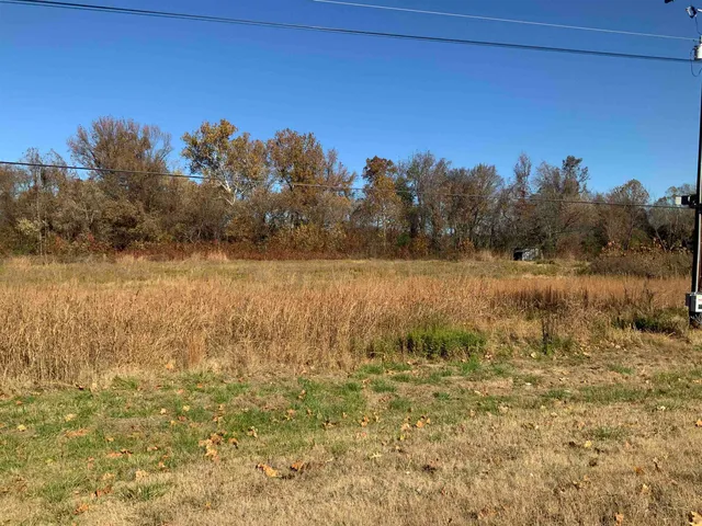 a view of a yard with a lake view