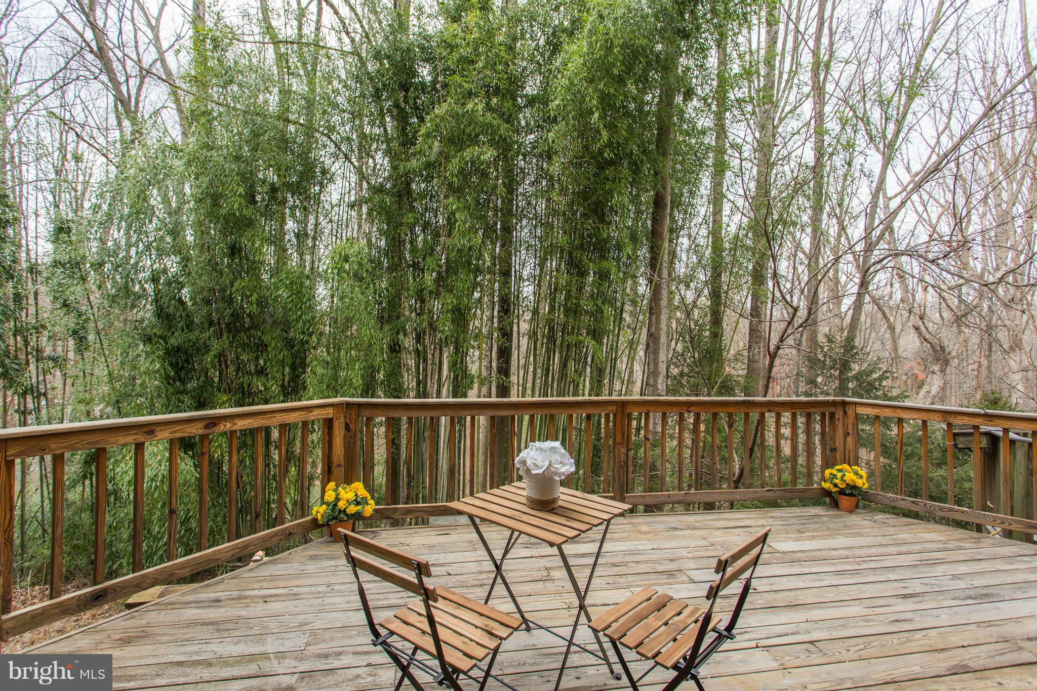 Huge deck backs to trees, great for entertaining
