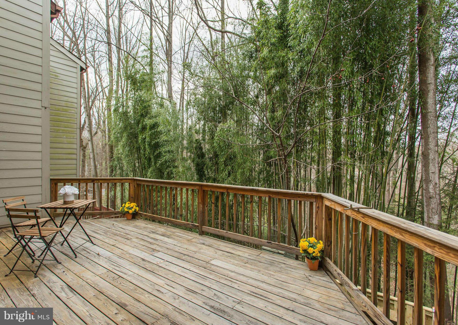 11522 Hearthstone Court Reston, VA 20191 - Photo 23 of 27 Backs to 72-acre Walker Nature Center