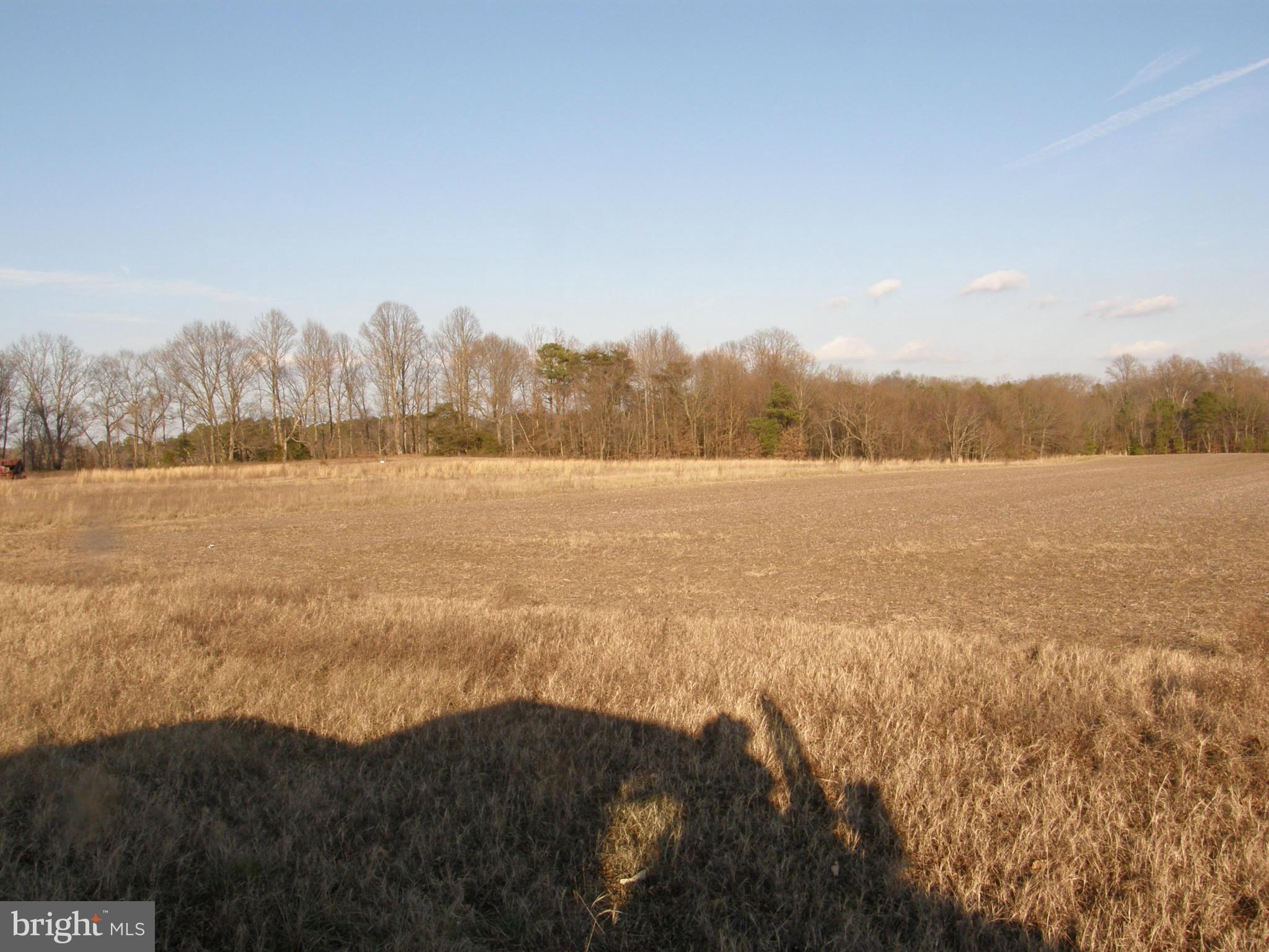 30720 Taylor Road East Trappe, MD 21673 - Photo 9 of 10 View