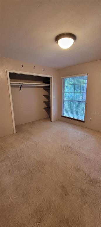 115 Northwest 30 Street Gainesville, FL 32607 - Photo 12 of 35