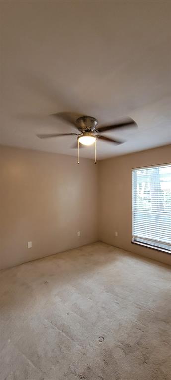 115 Northwest 30 Street Gainesville, FL 32607 - Photo 14 of 35