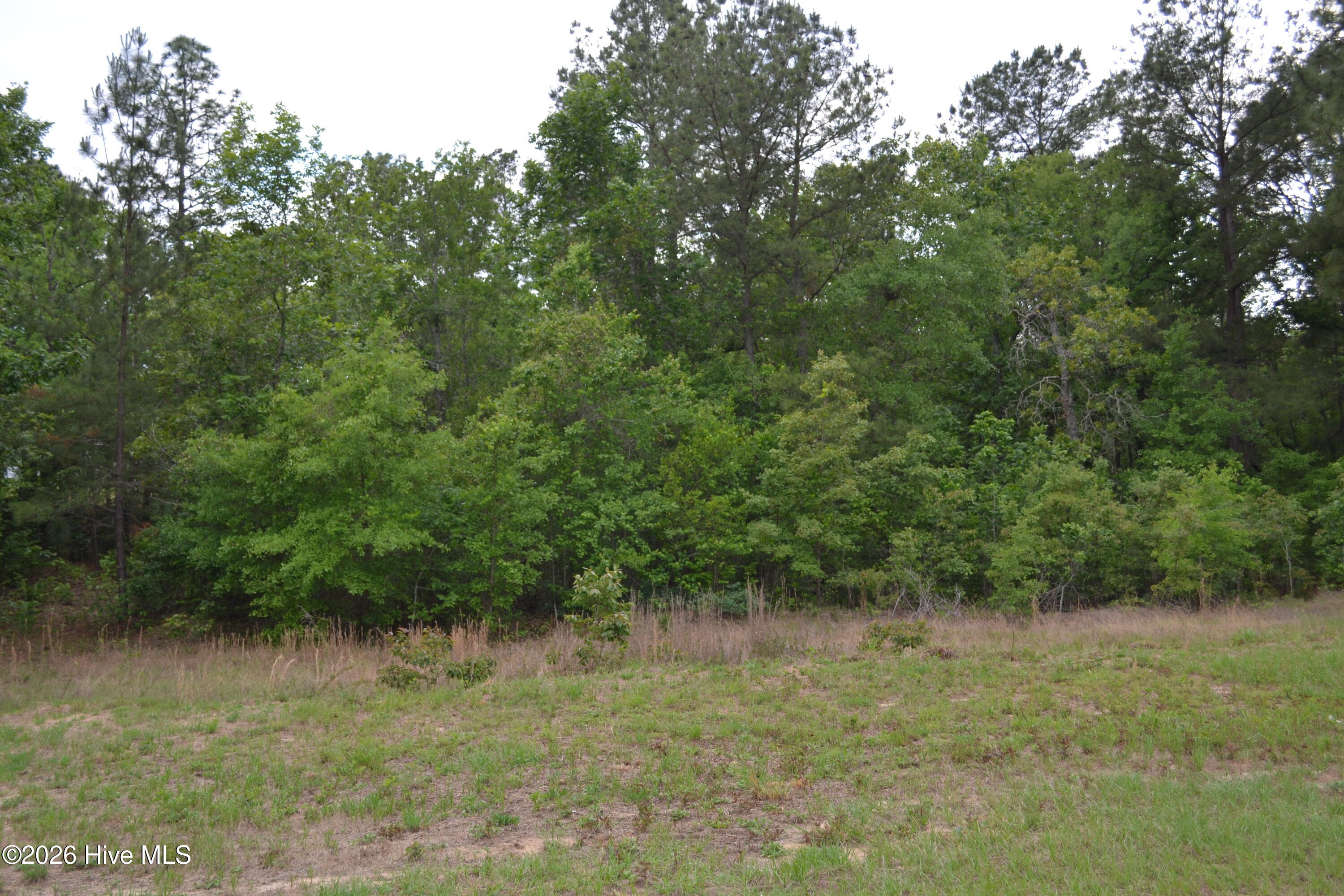 0 Old Barnwell Road Aiken, SC 29803 - Photo 15 of 20 Old Barnwell Rd (40)