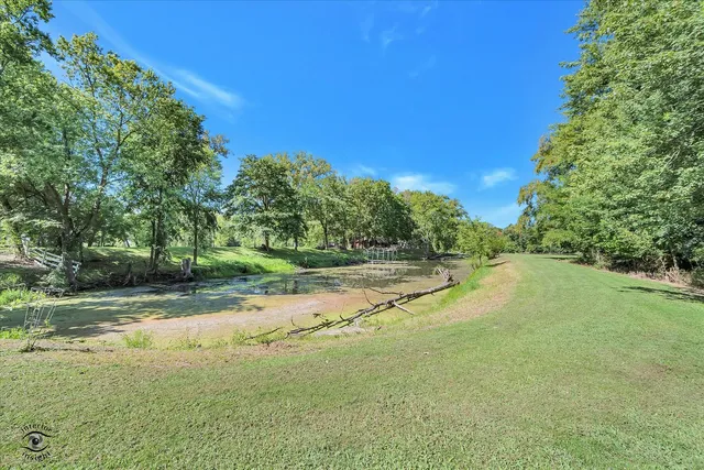 a view of a field with trees in the background