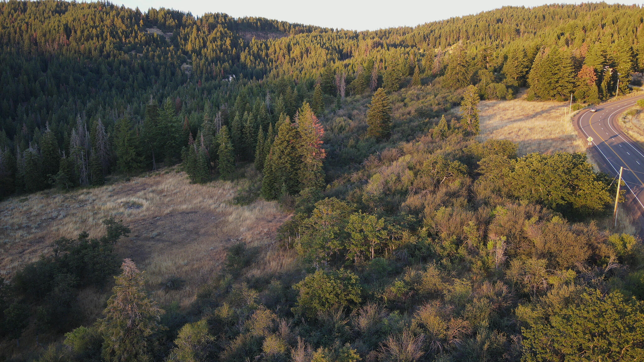 0 Dead Indian Memorial Road, Unit 101 Ashland, OR 97520 - Photo 7 of 14 7