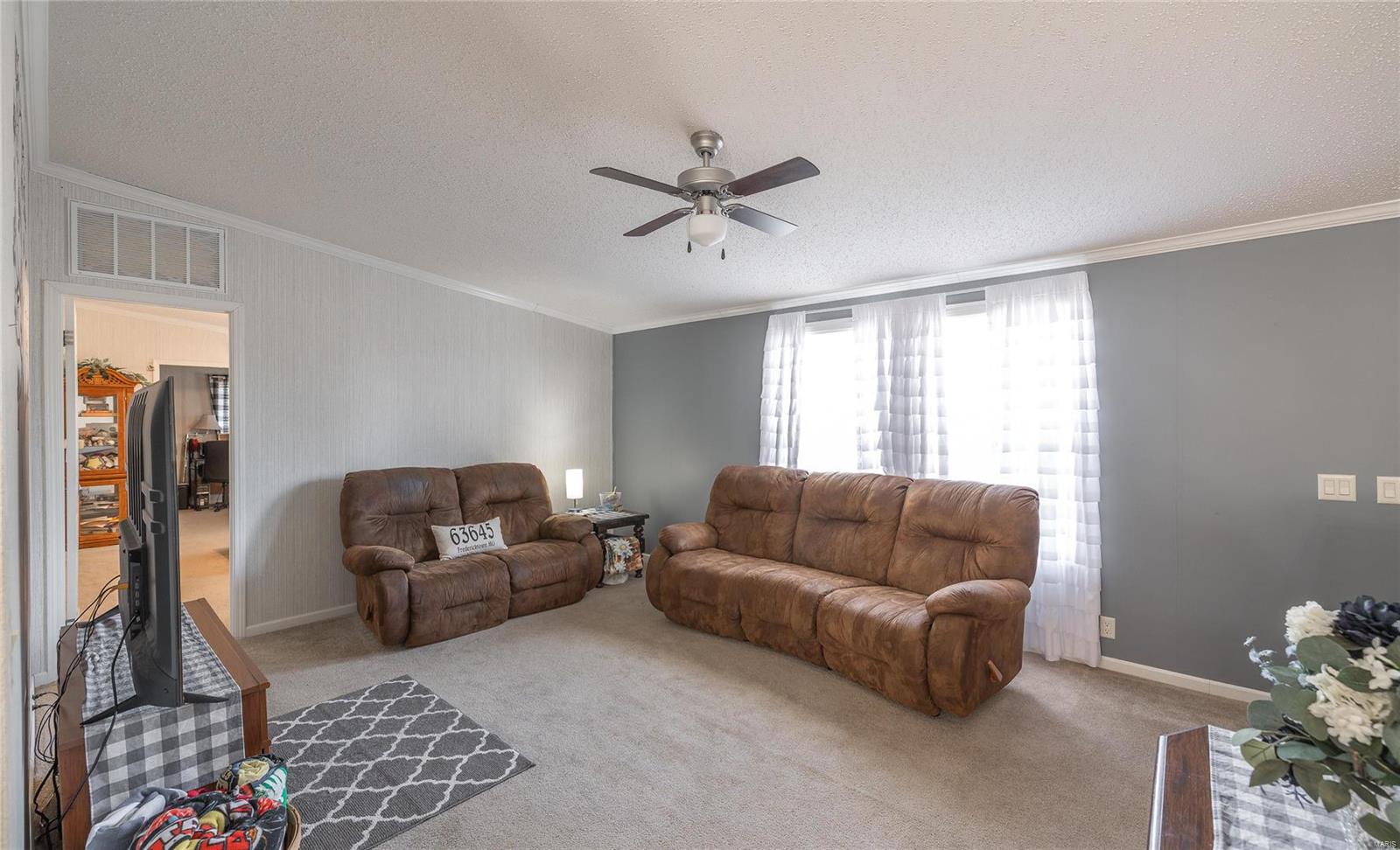 1860 Madison 417 Fredericktown, MO 63645 - Photo 13 of 45