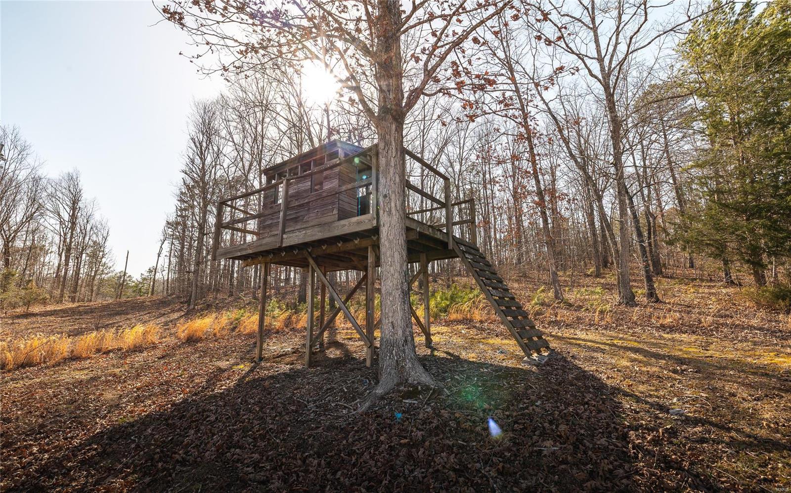 1860 Madison 417 Fredericktown, MO 63645 - Photo 36 of 45