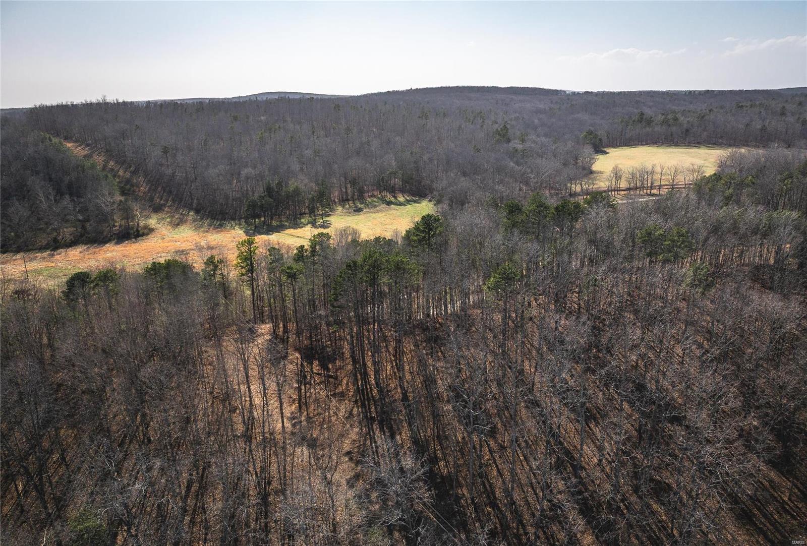 1860 Madison 417 Fredericktown, MO 63645 - Photo 5 of 45