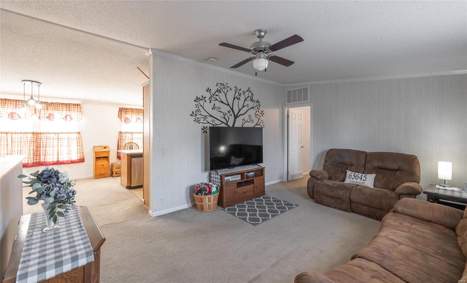 1860 Madison 417 Fredericktown, MO 63645 - Photo 9 of 45