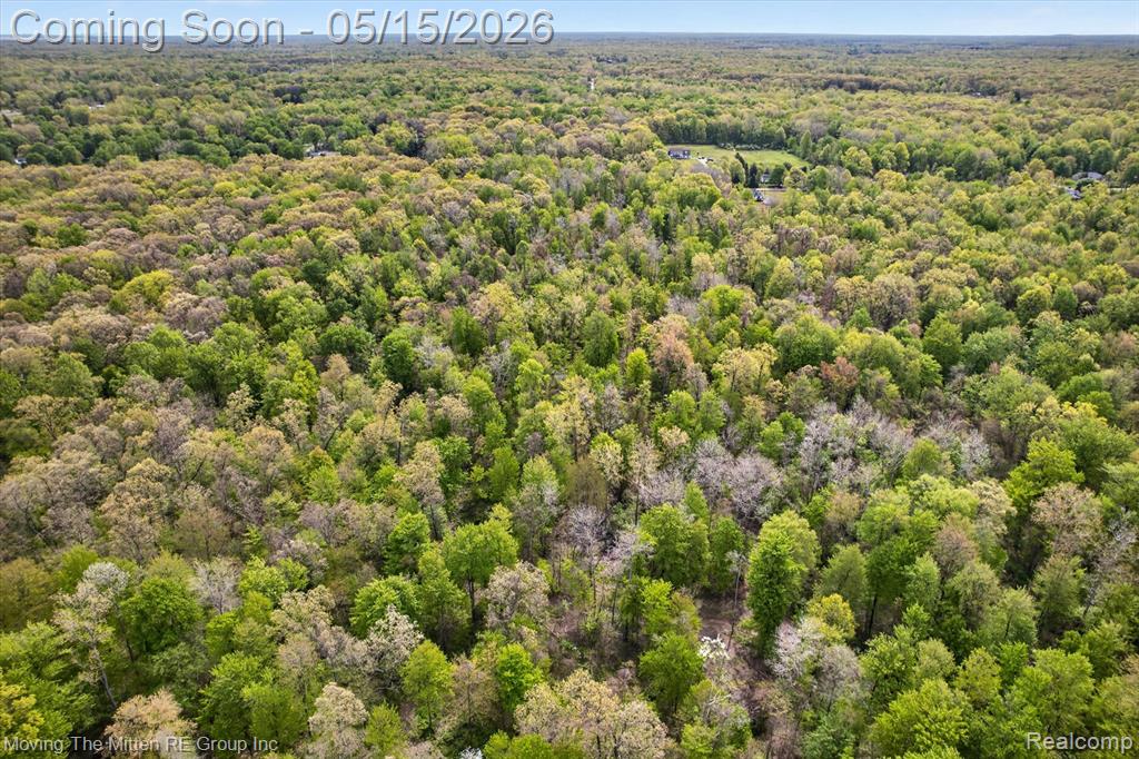 22530 Bohn Road Belleville, MI 48111 - Photo 5 of 28