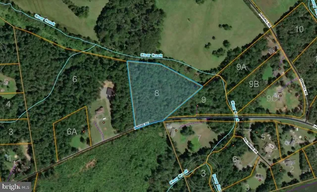 a view of a yard with plants