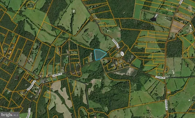 a close up of a plant in a garden