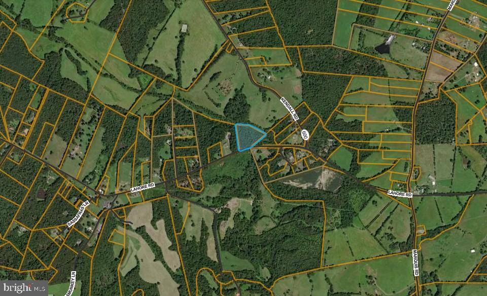 0 Lahore Road Orange, VA 22960 - Photo 4 of 7 a close up of a plant in a garden