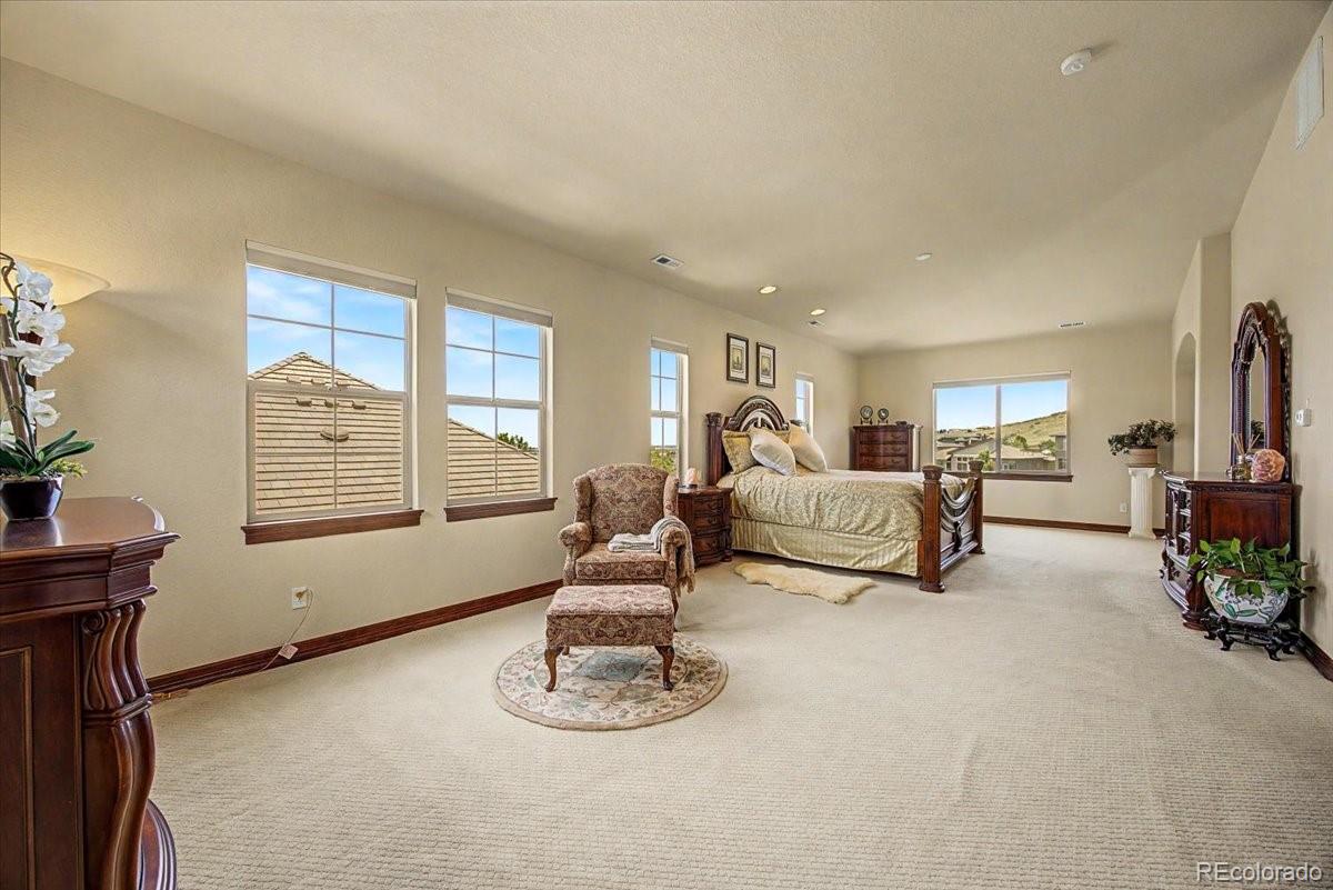 10492 Rivington Court Lone Tree, CO 80124 - Photo 16 of 50