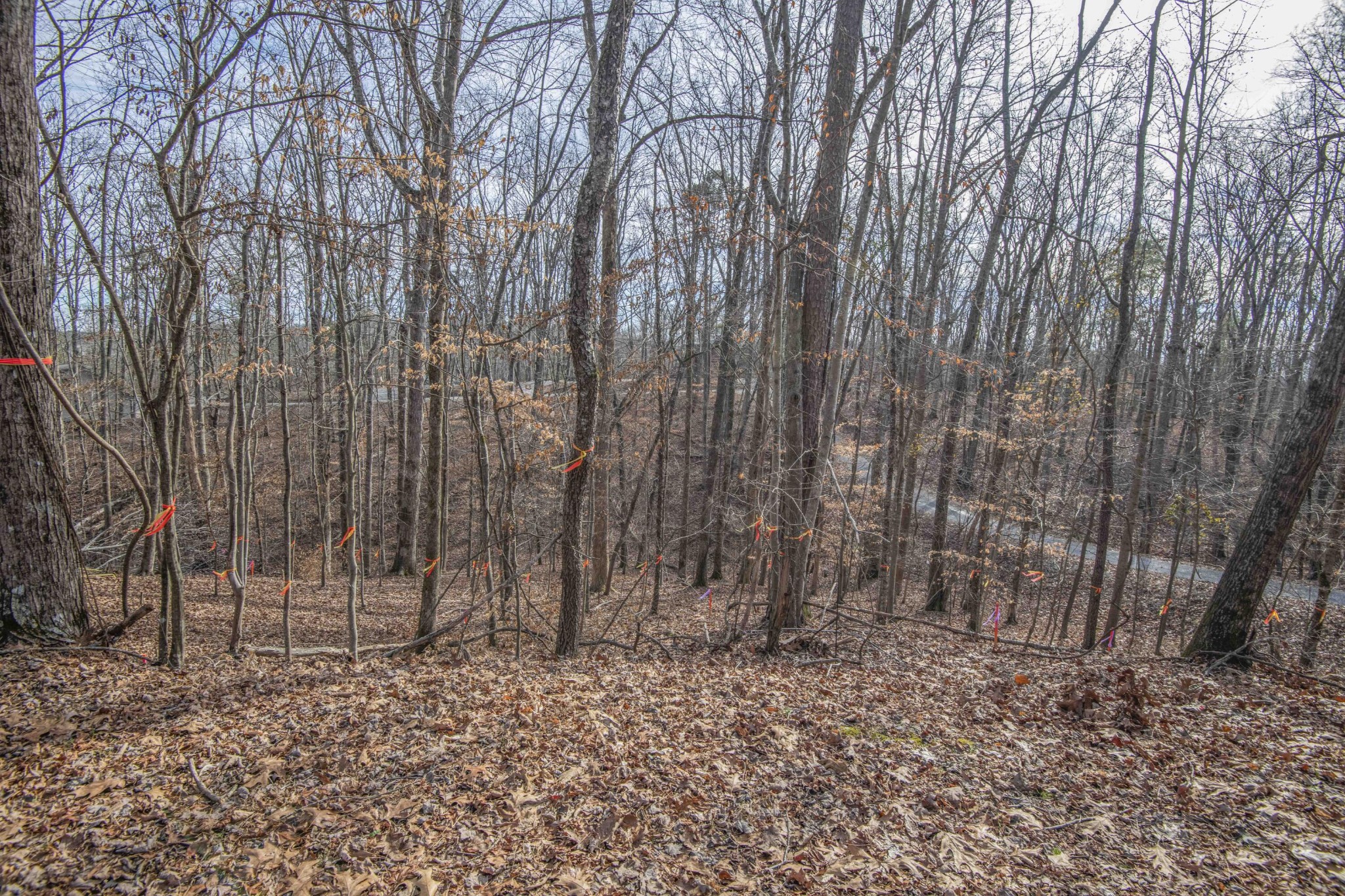 0 Sunset Court Spring City, TN 37381 - Photo 3 of 27 Gallery Image 3