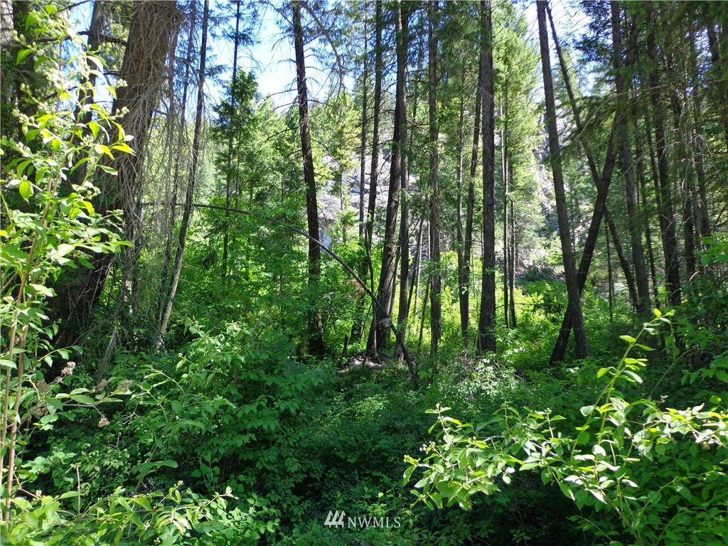 4 Customs Road Curlew, WA 99118 - Photo 1 of 11 Gallery Image 1