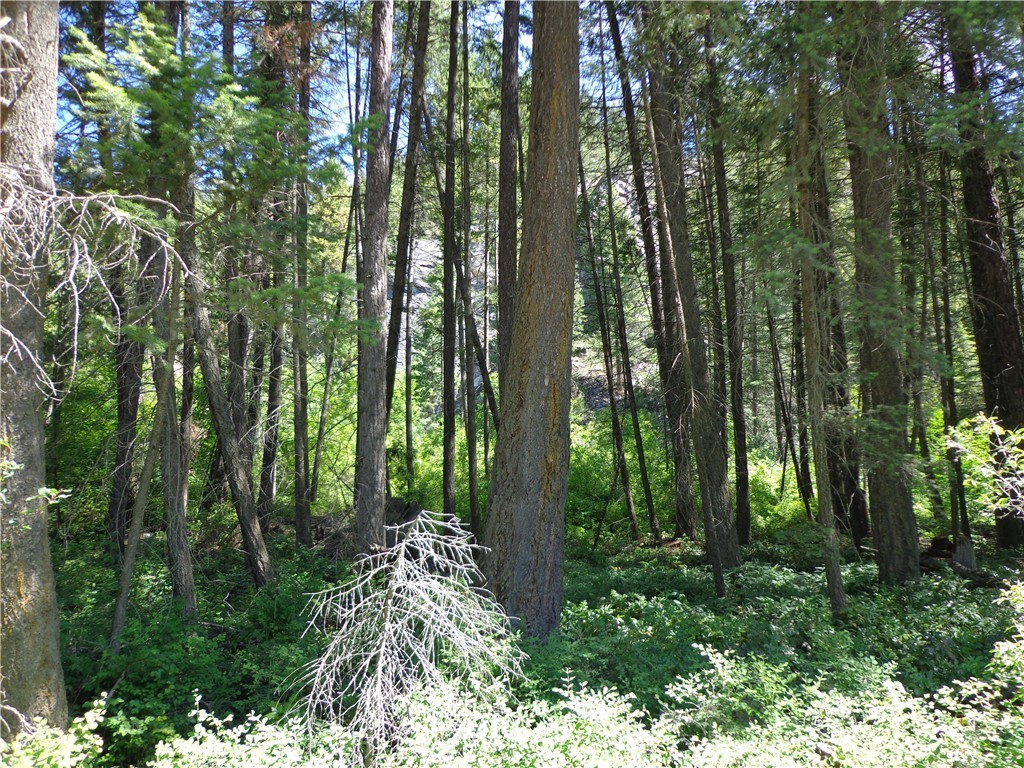 4 Customs Road Curlew, WA 99118 - Photo 11 of 11 Gallery Image 11