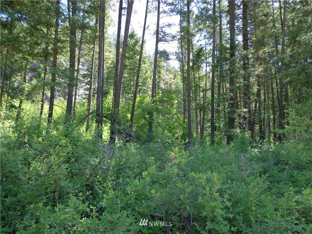 4 Customs Road Curlew, WA 99118 - Photo 7 of 11 Gallery Image 7