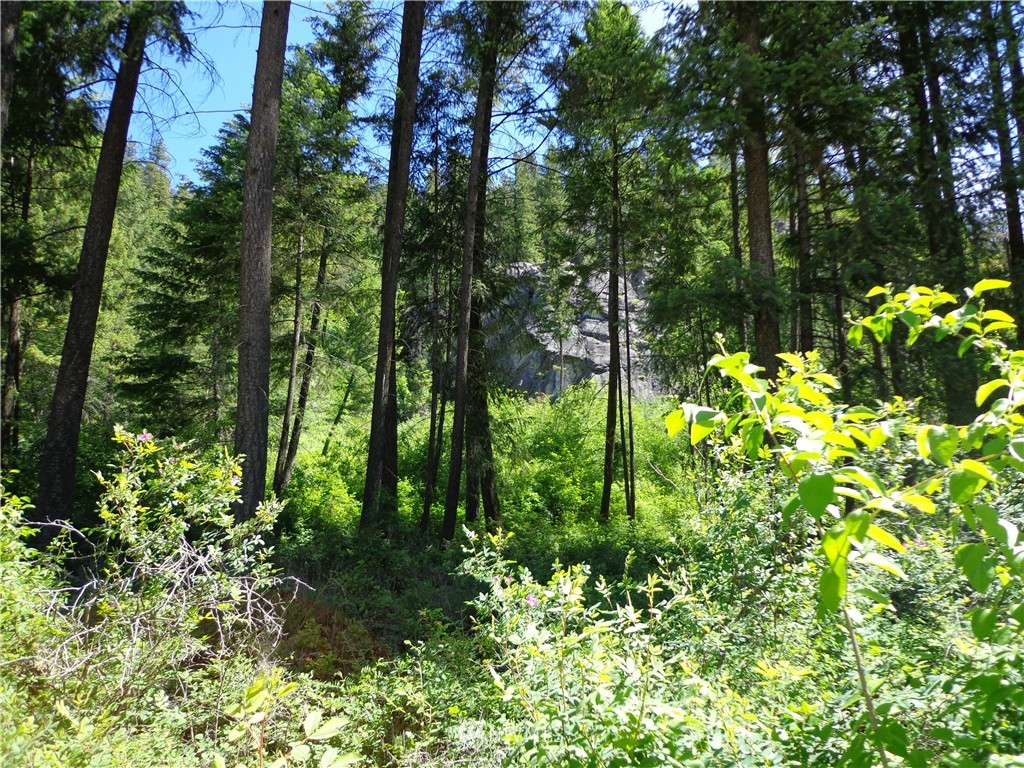 4 Customs Road Curlew, WA 99118 - Photo 10 of 11 Gallery Image 10