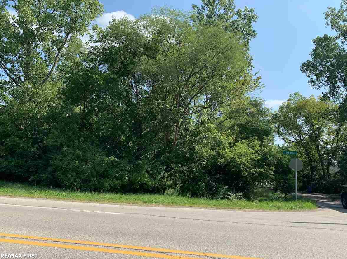 70424 Van Dyke Road Romeo, MI 48065 - Photo 8 of 11 31394204-7.JPG