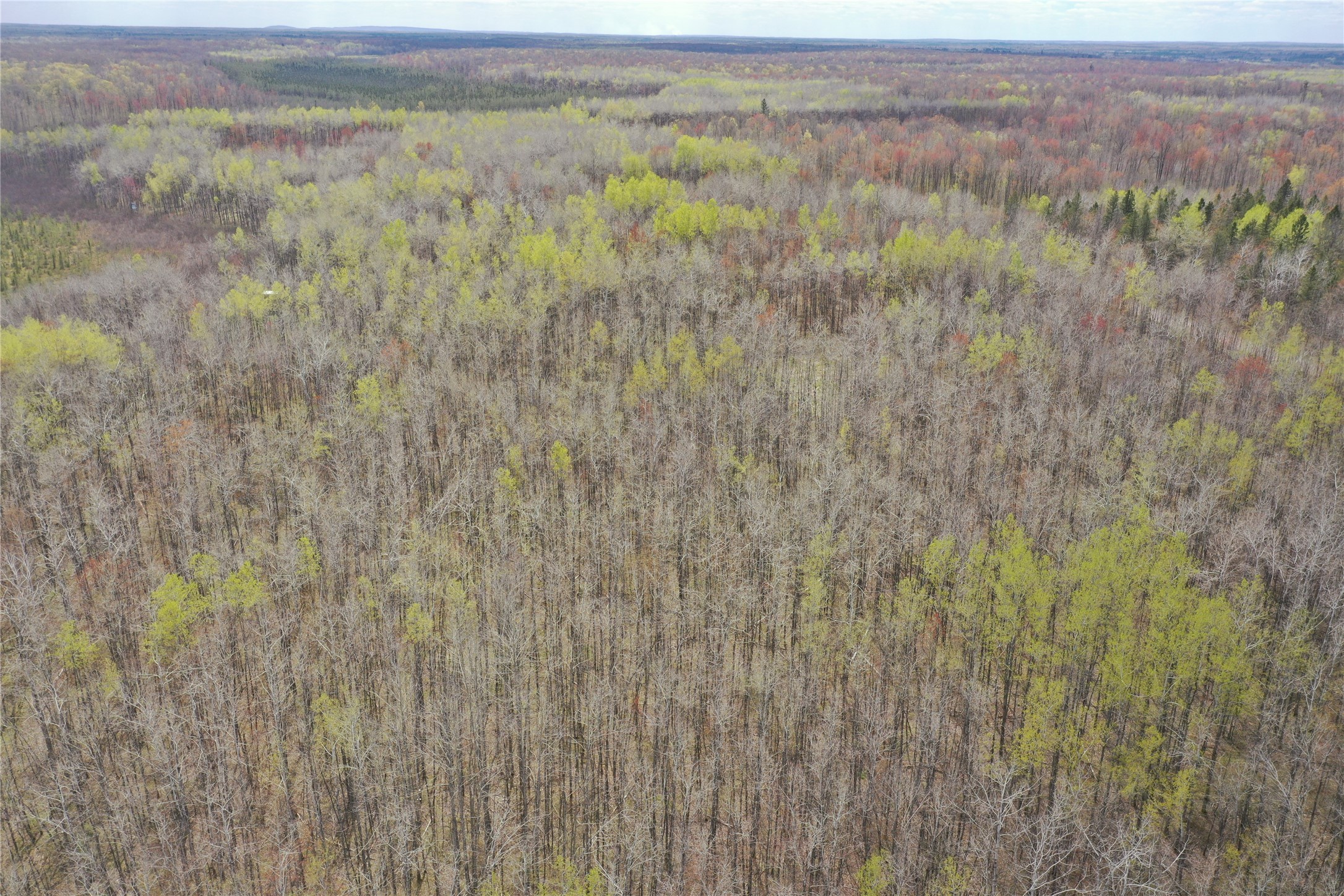 8236 Godfrey Road Ladysmith, WI 54848 - Photo 12 of 41