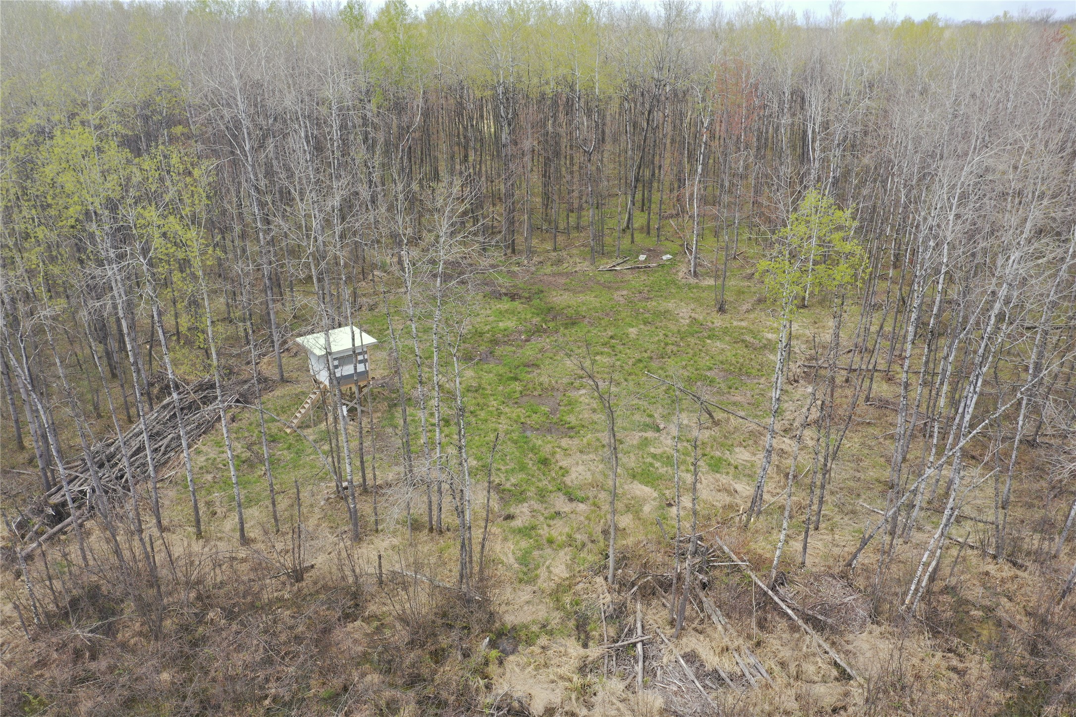 8236 Godfrey Road Ladysmith, WI 54848 - Photo 10 of 41