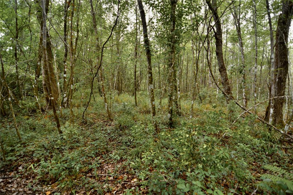 Sweet Gum Road Glen St. Mary, FL 32040 - Photo 26 of 44