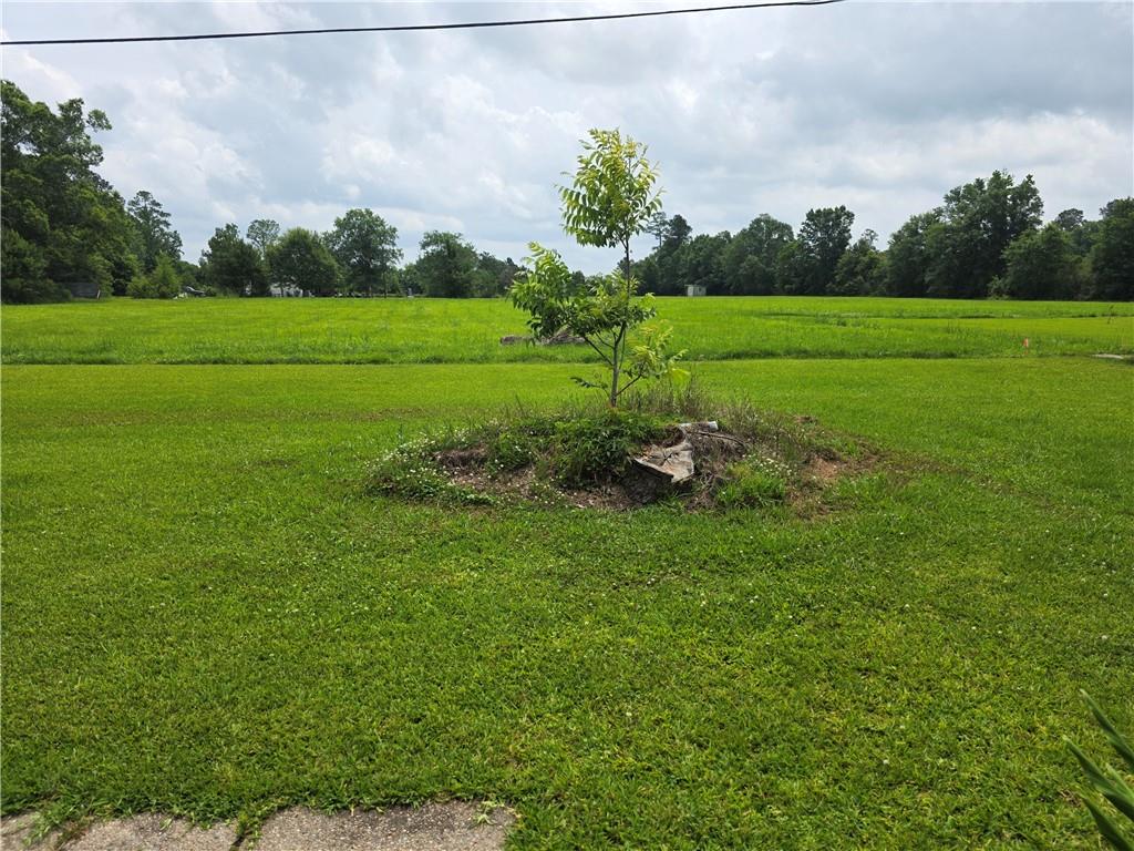 46282 Morris Road Hammond, LA 70401 - Photo 13 of 17