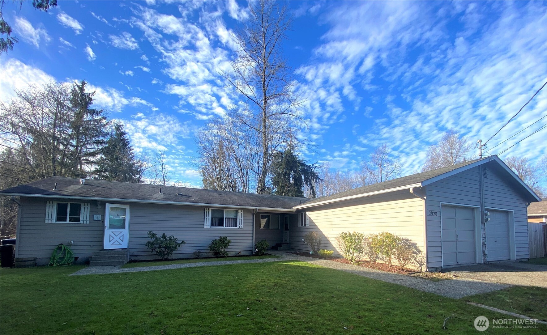 a view of a yard in front of a house with plants and large tree