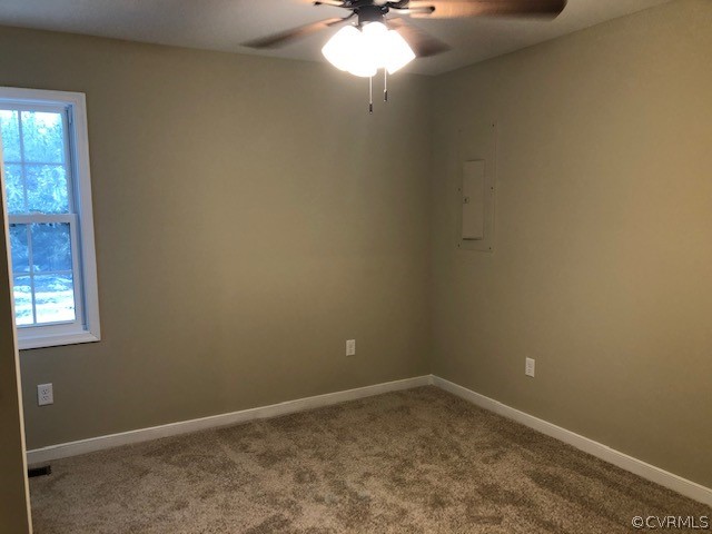 10470 Lew Jones Road McKenney, VA 23872 - Photo 10 of 13 Gallery Image 10