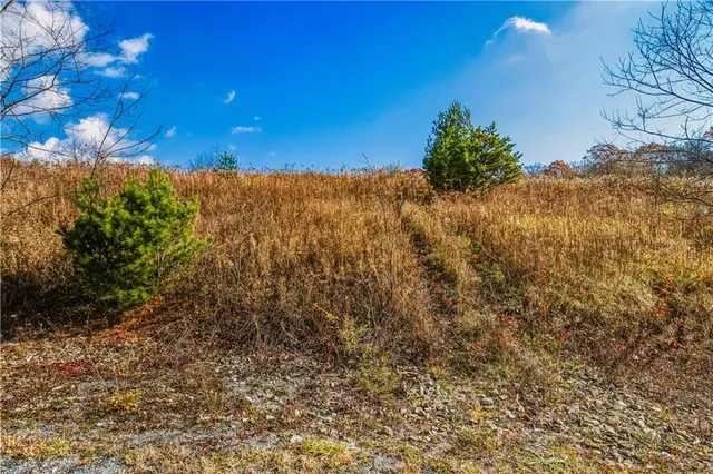 a view of a large yard with lots of green space