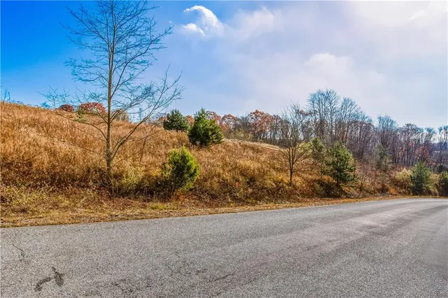 a view of mountain view