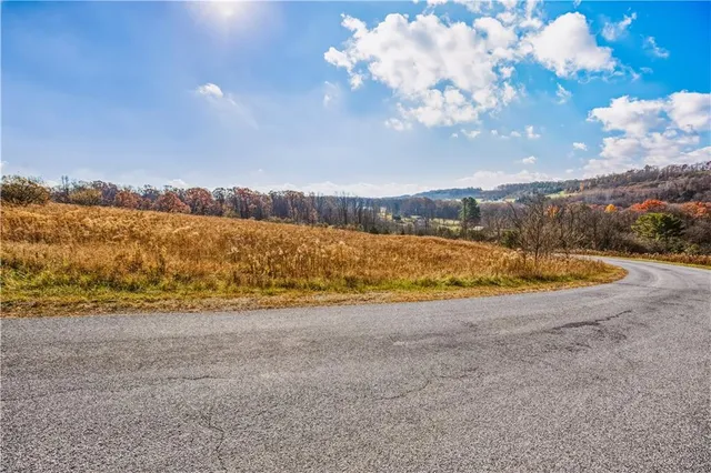 a view of a yard with an ocean view